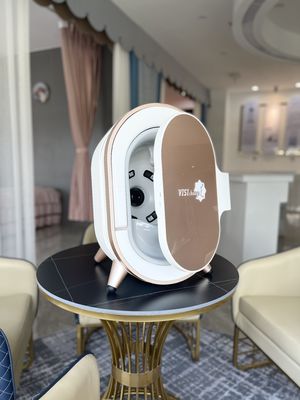CE Magic Mirror Ev Analizörleri Doktor Cilt Kliniği için Visia Yüz Tarayıcı Sistemleri